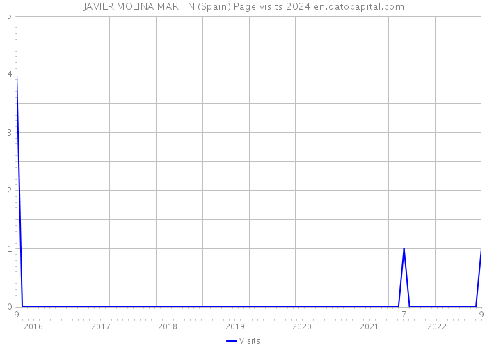 JAVIER MOLINA MARTIN (Spain) Page visits 2024 