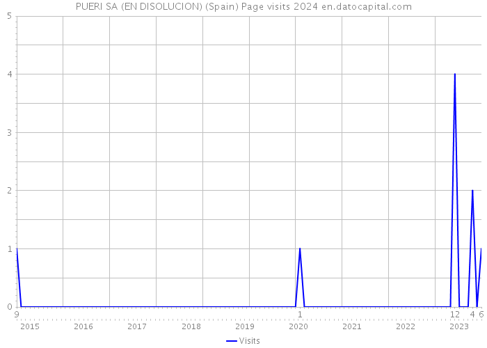 PUERI SA (EN DISOLUCION) (Spain) Page visits 2024 