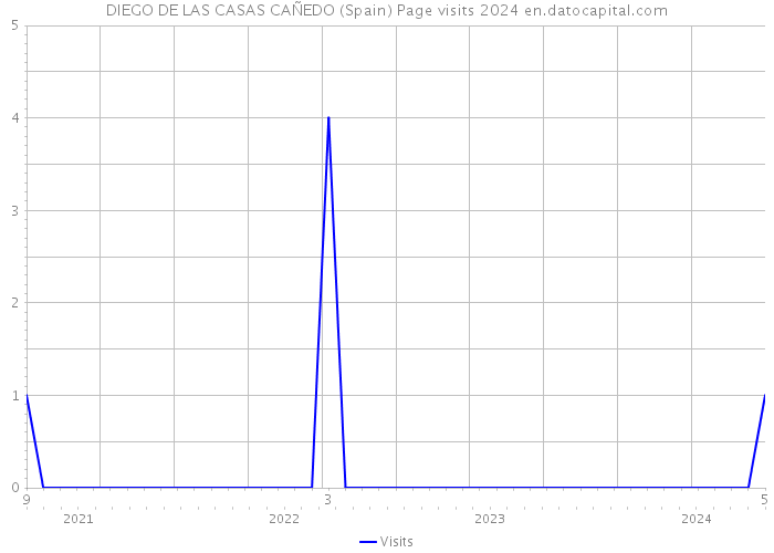 DIEGO DE LAS CASAS CAÑEDO (Spain) Page visits 2024 