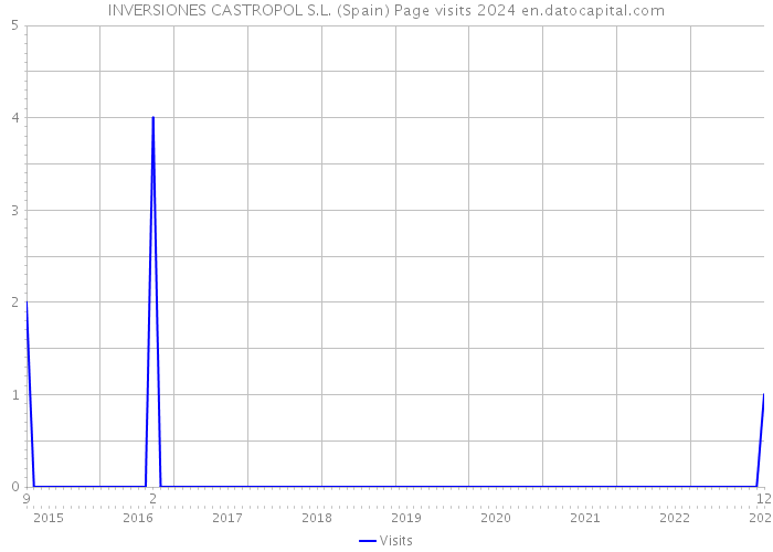 INVERSIONES CASTROPOL S.L. (Spain) Page visits 2024 
