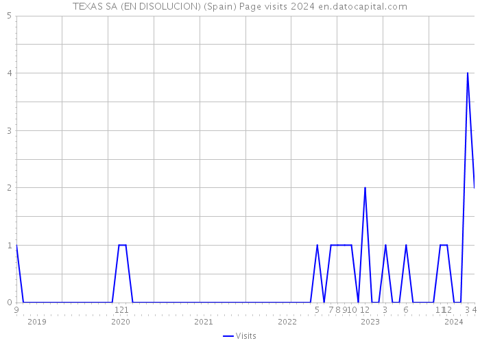 TEXAS SA (EN DISOLUCION) (Spain) Page visits 2024 