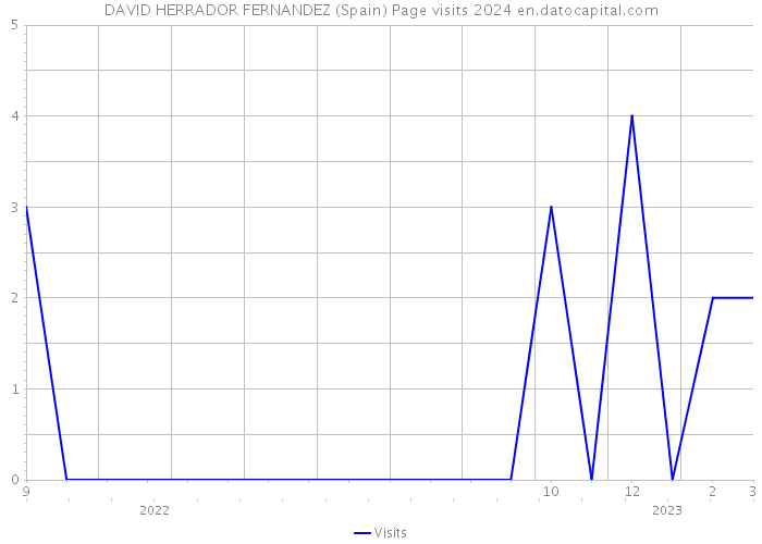DAVID HERRADOR FERNANDEZ (Spain) Page visits 2024 
