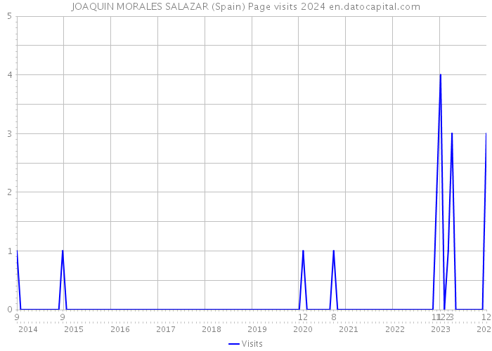 JOAQUIN MORALES SALAZAR (Spain) Page visits 2024 