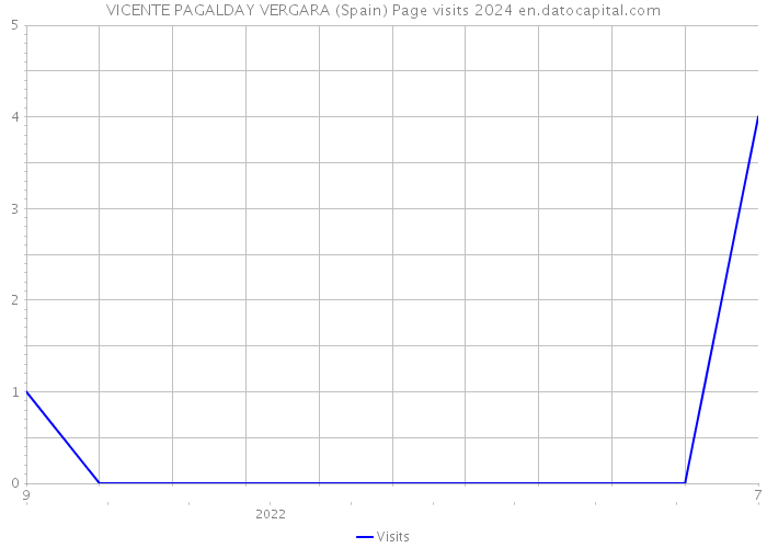 VICENTE PAGALDAY VERGARA (Spain) Page visits 2024 