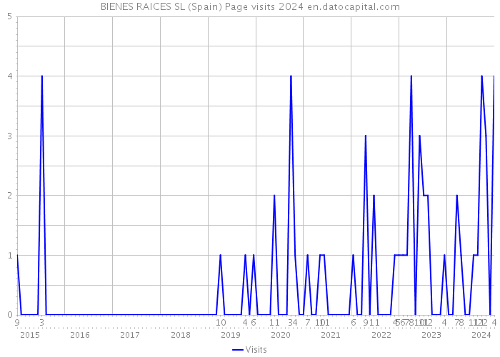 BIENES RAICES SL (Spain) Page visits 2024 