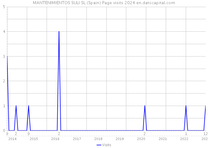 MANTENIMIENTOS SULI SL (Spain) Page visits 2024 
