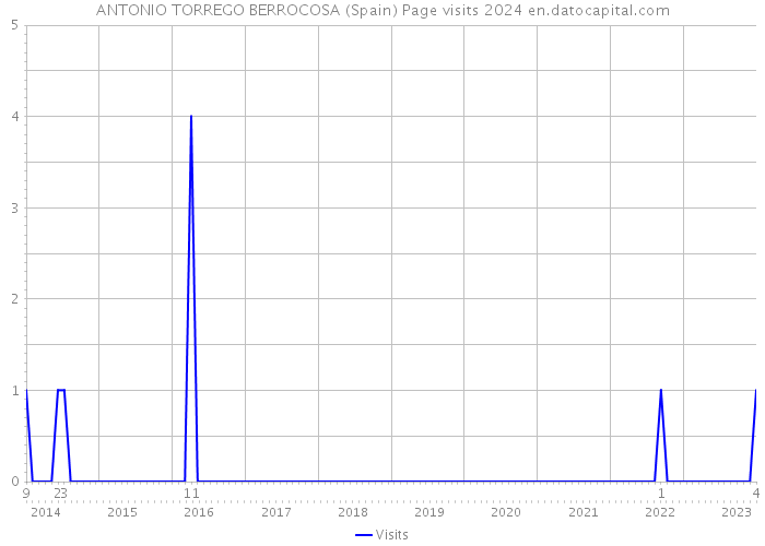 ANTONIO TORREGO BERROCOSA (Spain) Page visits 2024 