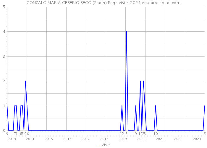 GONZALO MARIA CEBERIO SECO (Spain) Page visits 2024 