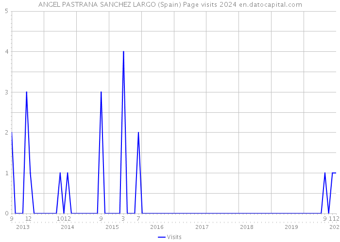 ANGEL PASTRANA SANCHEZ LARGO (Spain) Page visits 2024 