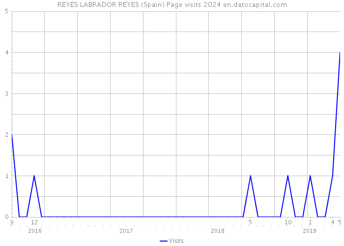 REYES LABRADOR REYES (Spain) Page visits 2024 