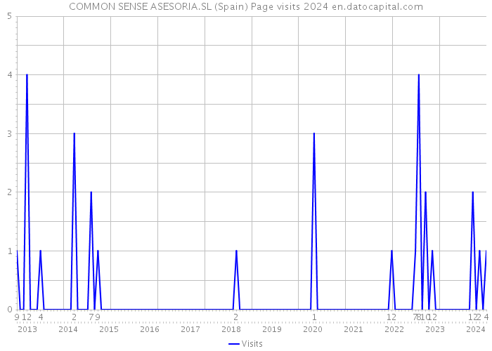 COMMON SENSE ASESORIA.SL (Spain) Page visits 2024 