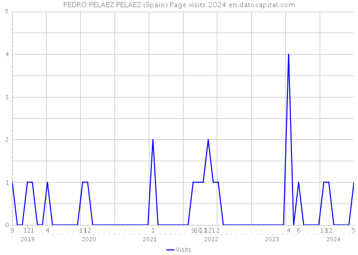 PEDRO PELAEZ PELAEZ (Spain) Page visits 2024 