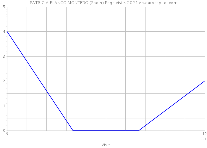 PATRICIA BLANCO MONTERO (Spain) Page visits 2024 