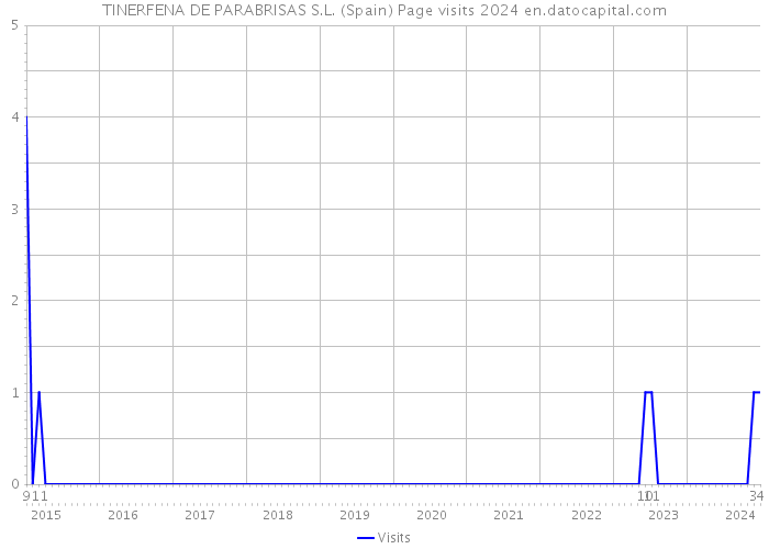 TINERFENA DE PARABRISAS S.L. (Spain) Page visits 2024 