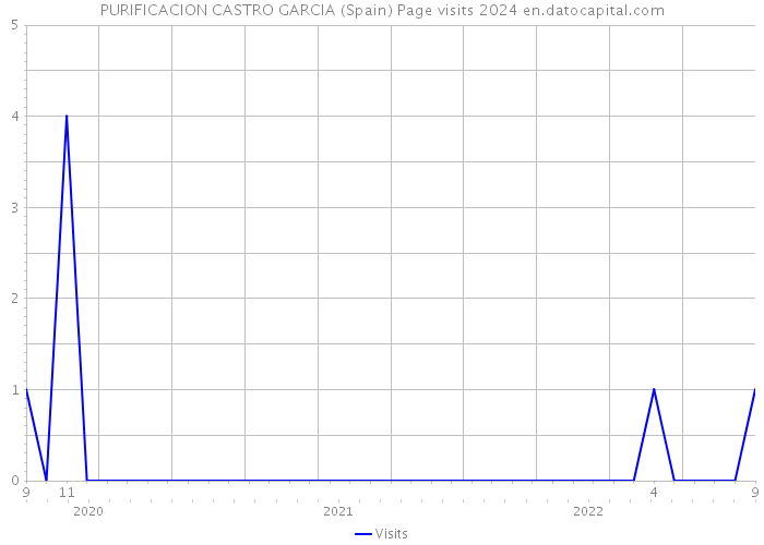 PURIFICACION CASTRO GARCIA (Spain) Page visits 2024 