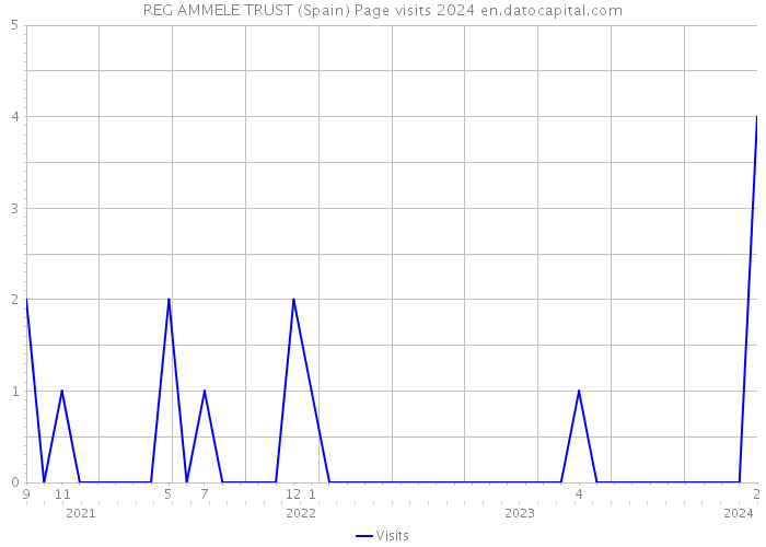 REG AMMELE TRUST (Spain) Page visits 2024 
