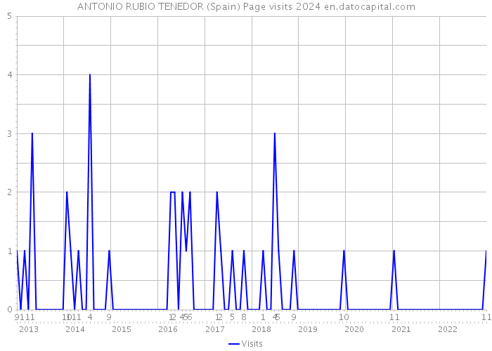 ANTONIO RUBIO TENEDOR (Spain) Page visits 2024 