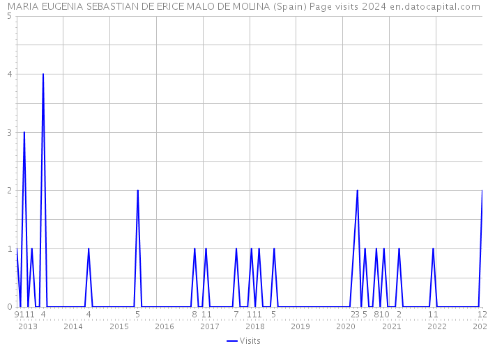 MARIA EUGENIA SEBASTIAN DE ERICE MALO DE MOLINA (Spain) Page visits 2024 