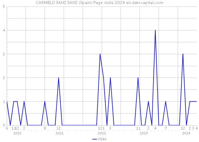 CARMELO SANZ SANZ (Spain) Page visits 2024 