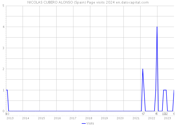 NICOLAS CUBERO ALONSO (Spain) Page visits 2024 