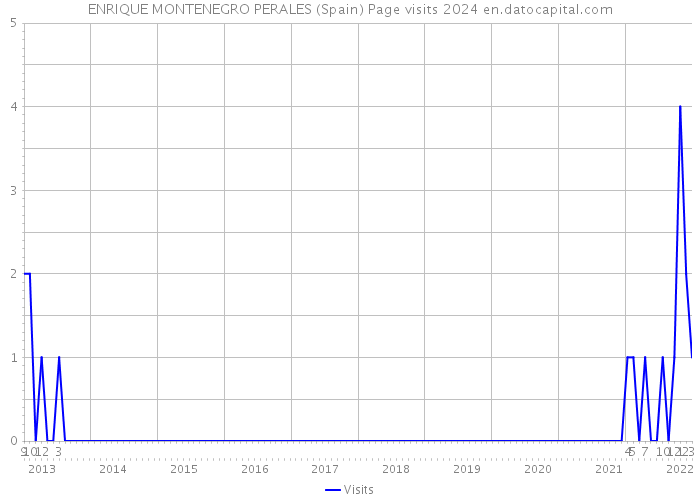 ENRIQUE MONTENEGRO PERALES (Spain) Page visits 2024 