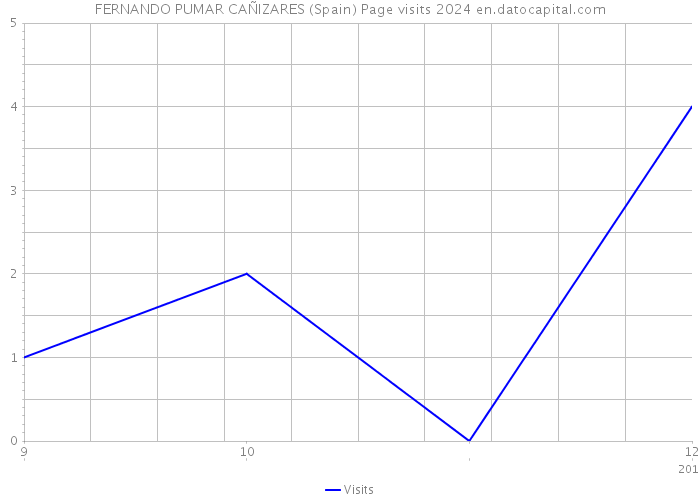 FERNANDO PUMAR CAÑIZARES (Spain) Page visits 2024 