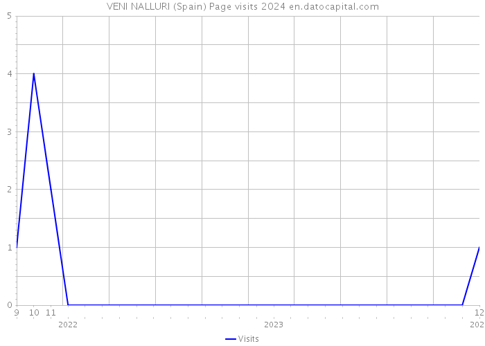VENI NALLURI (Spain) Page visits 2024 