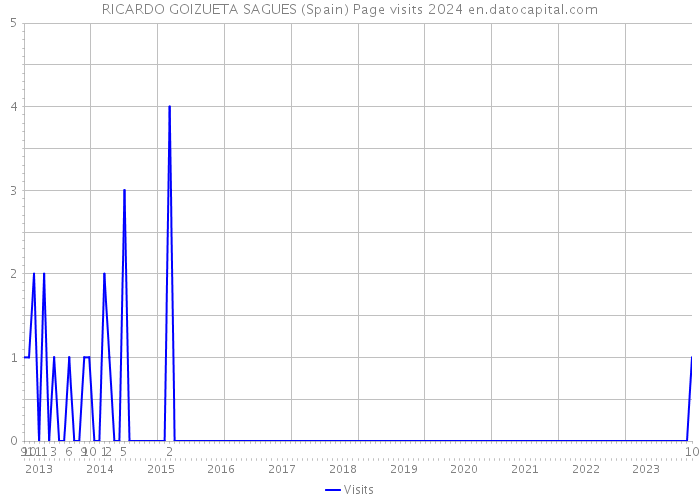 RICARDO GOIZUETA SAGUES (Spain) Page visits 2024 