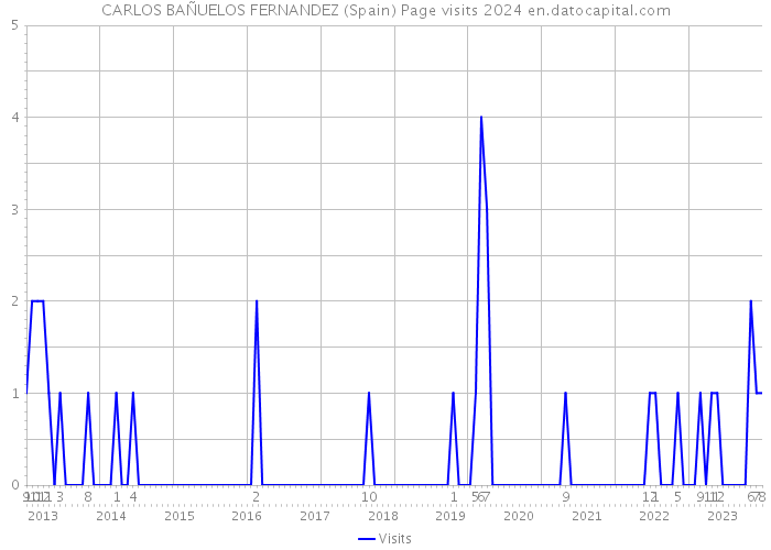 CARLOS BAÑUELOS FERNANDEZ (Spain) Page visits 2024 