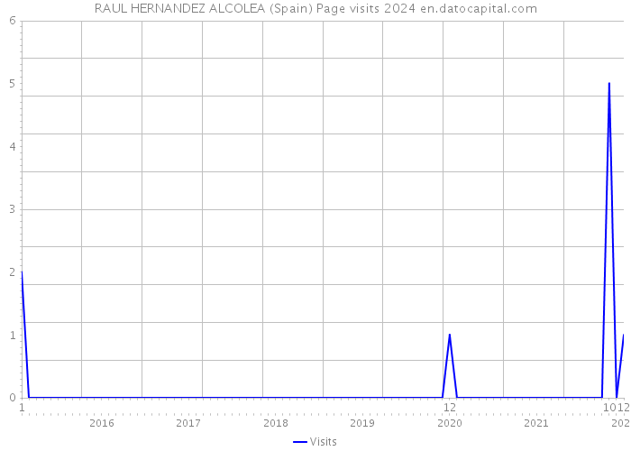 RAUL HERNANDEZ ALCOLEA (Spain) Page visits 2024 