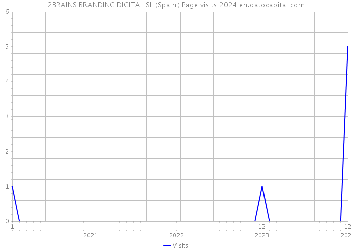 2BRAINS BRANDING DIGITAL SL (Spain) Page visits 2024 