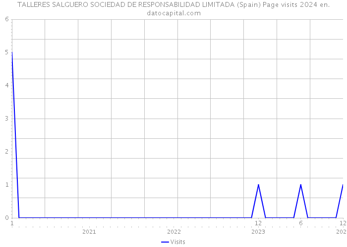 TALLERES SALGUERO SOCIEDAD DE RESPONSABILIDAD LIMITADA (Spain) Page visits 2024 