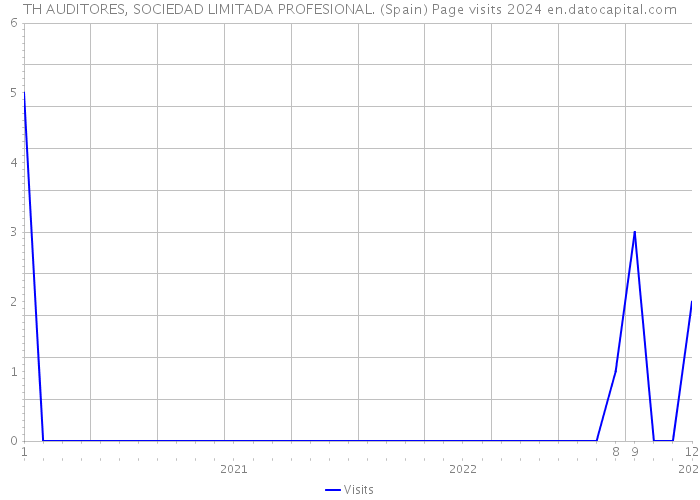 TH AUDITORES, SOCIEDAD LIMITADA PROFESIONAL. (Spain) Page visits 2024 