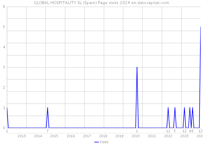 GLOBAL HOSPITALITY SL (Spain) Page visits 2024 