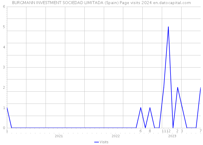 BURGMANN INVESTMENT SOCIEDAD LIMITADA (Spain) Page visits 2024 
