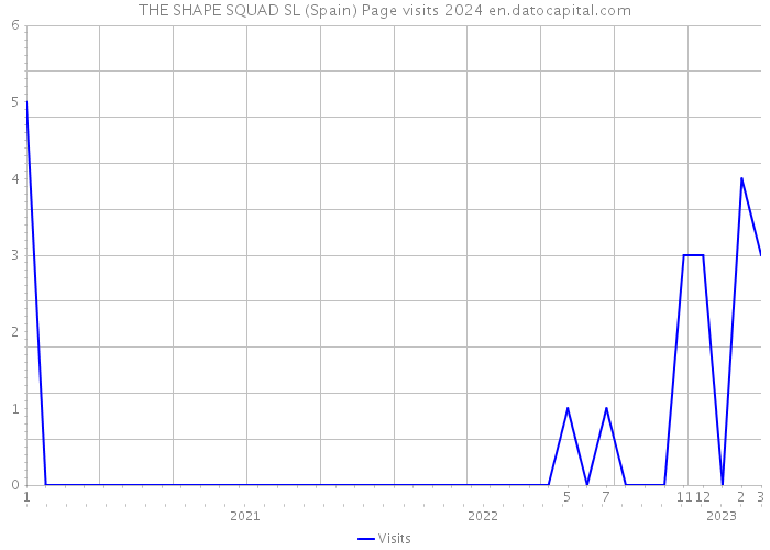 THE SHAPE SQUAD SL (Spain) Page visits 2024 