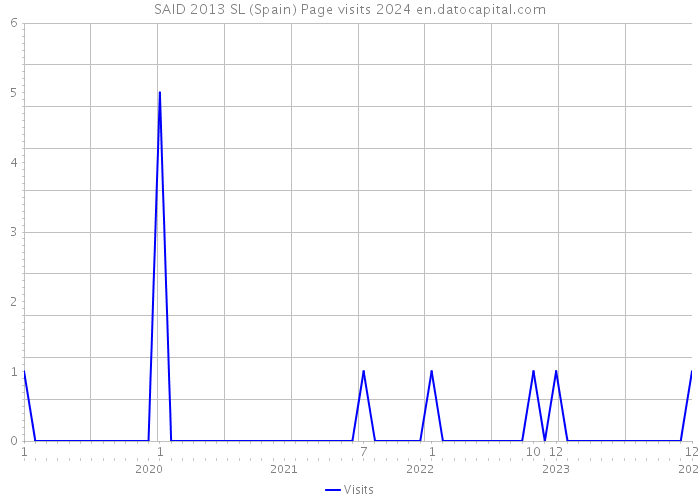 SAID 2013 SL (Spain) Page visits 2024 