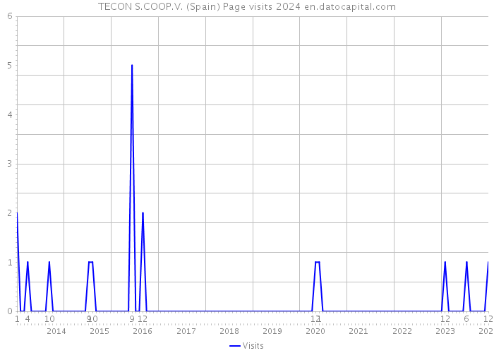 TECON S.COOP.V. (Spain) Page visits 2024 
