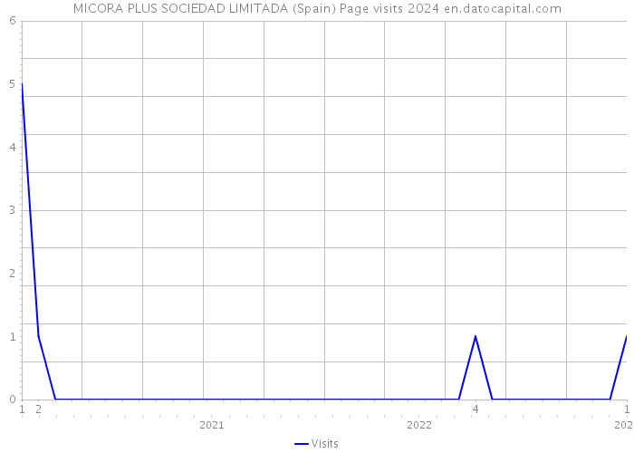 MICORA PLUS SOCIEDAD LIMITADA (Spain) Page visits 2024 