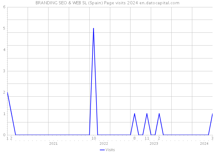 BRANDING SEO & WEB SL (Spain) Page visits 2024 
