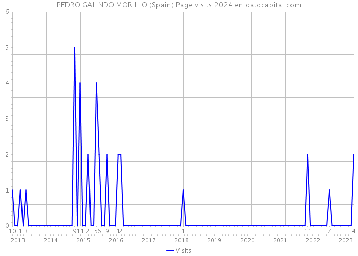 PEDRO GALINDO MORILLO (Spain) Page visits 2024 