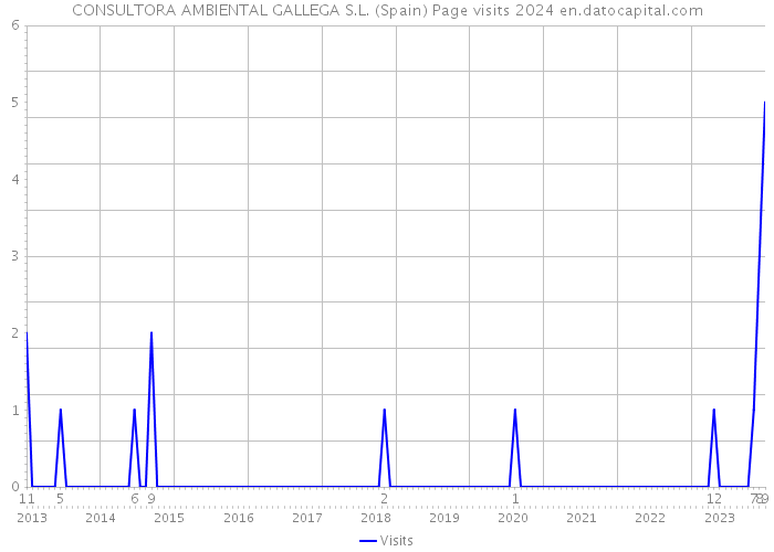 CONSULTORA AMBIENTAL GALLEGA S.L. (Spain) Page visits 2024 