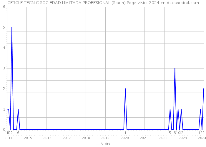 CERCLE TECNIC SOCIEDAD LIMITADA PROFESIONAL (Spain) Page visits 2024 