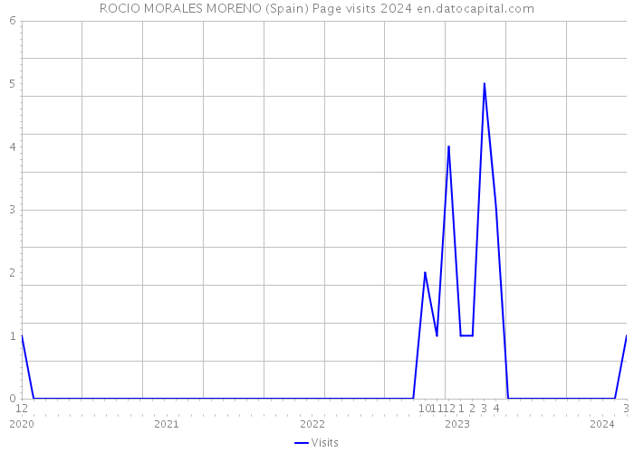 ROCIO MORALES MORENO (Spain) Page visits 2024 