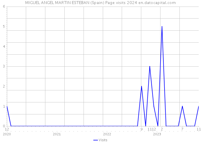 MIGUEL ANGEL MARTIN ESTEBAN (Spain) Page visits 2024 