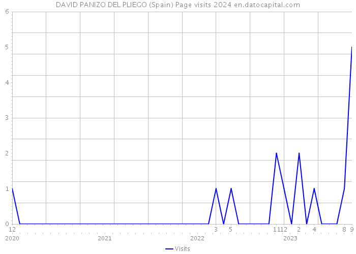DAVID PANIZO DEL PLIEGO (Spain) Page visits 2024 