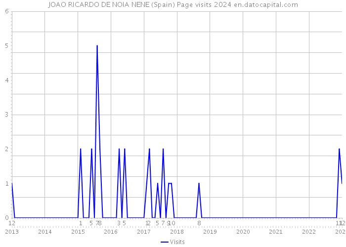 JOAO RICARDO DE NOIA NENE (Spain) Page visits 2024 