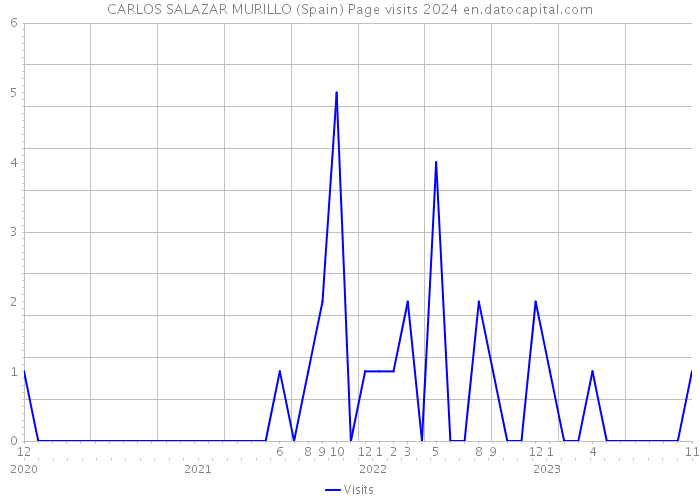 CARLOS SALAZAR MURILLO (Spain) Page visits 2024 