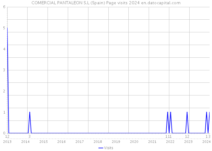 COMERCIAL PANTALEON S.L (Spain) Page visits 2024 