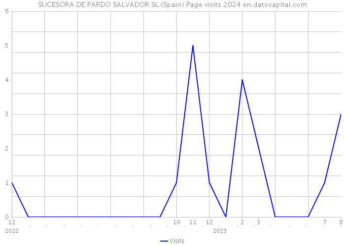 SUCESORA DE PARDO SALVADOR SL (Spain) Page visits 2024 